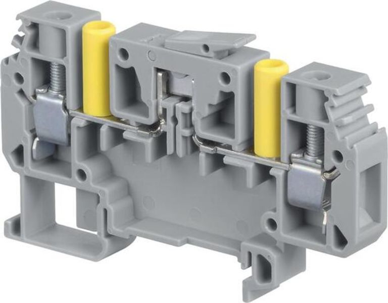 ABB D6-10.SNBTB2 D6/10.SNBTB2 Screw Clamp Terminal Blocks - Test disconnect with blade - Grey Product Image