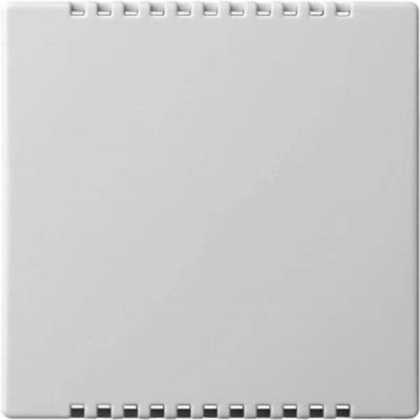 ABB SRZ-U1.1.1 SRZ/U1.1.1, Solo, Cover Plate SRO/U, w Product Image