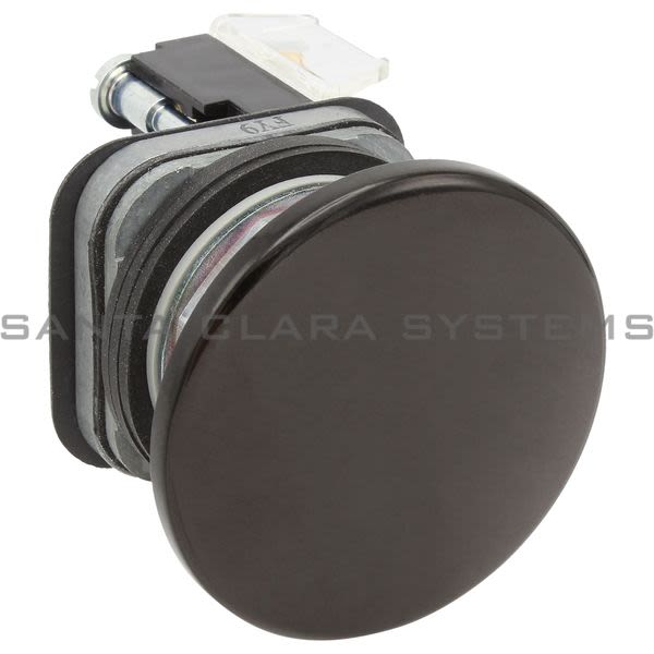 Allen Bradley 800T-D2JD1 Push Button Product Image