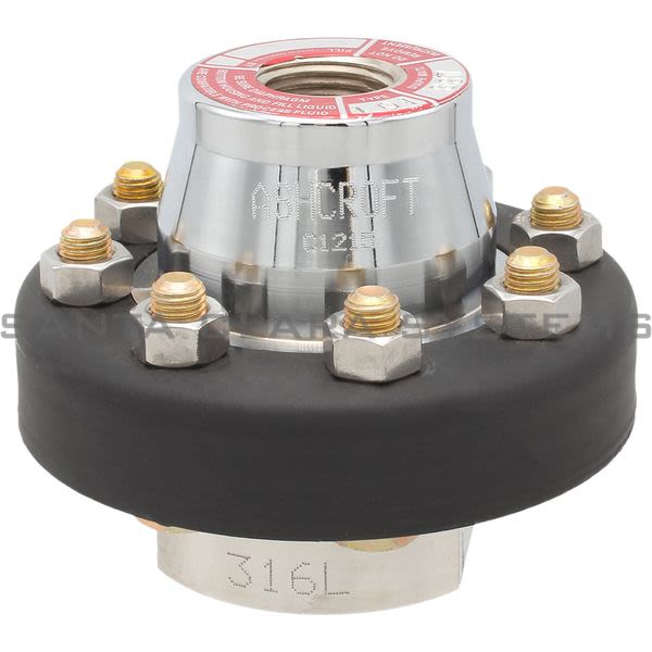 Ashcroft 10-101-SS-02T 101S Capsule Diaphragm Seal Assembly Product Image