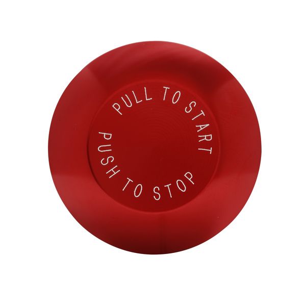 Cutler-Hammer 10250ED1113-3  Push Button Product Image