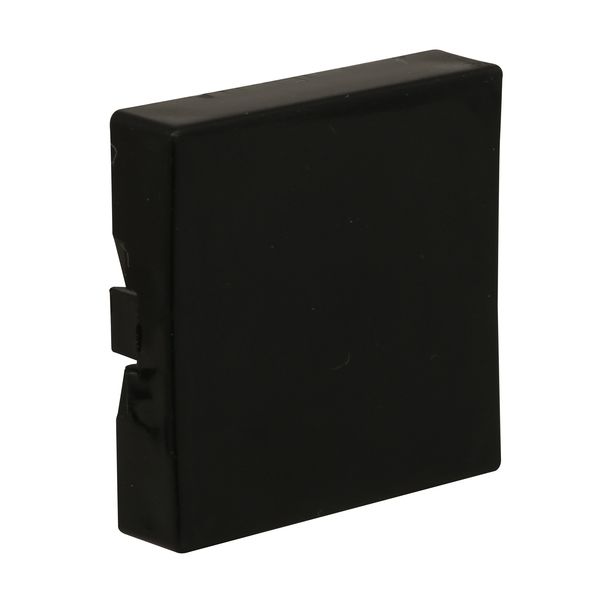 Cutler-Hammer E30KA100 Extended Button Black Product Image