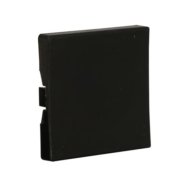 Cutler-Hammer E30KA150 Pushbutton Cover Short-A Black-Blank | E30-KA150 Product Image