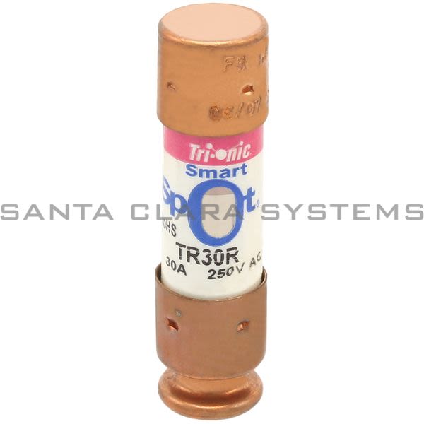 Gould TR30R  Fuse 30 amp Product Image