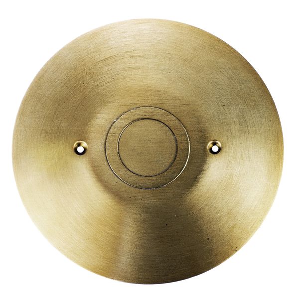 Hubbell FF2BRS  Control Product Image
