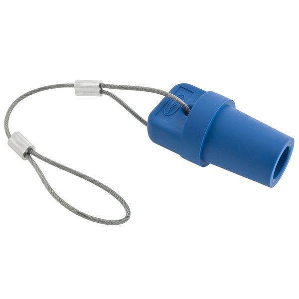 Hubbell HBLMCAPBL Control Product Image