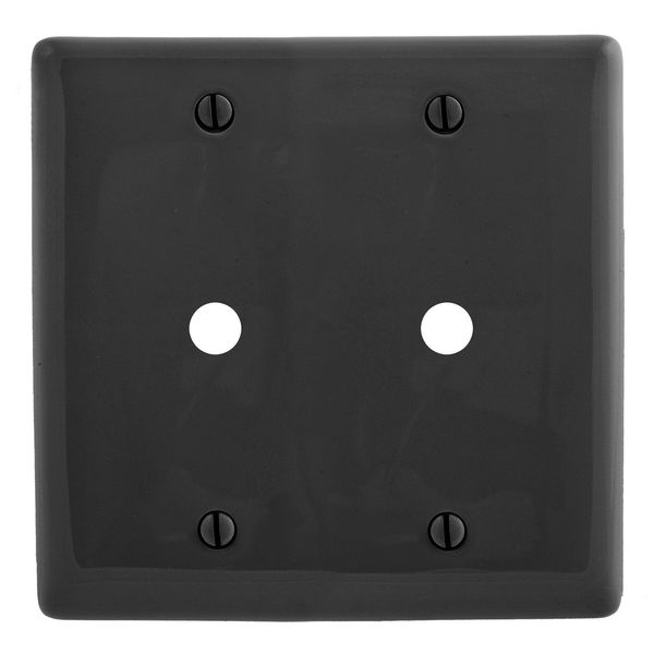 Hubbell NP21BK Control Product Image