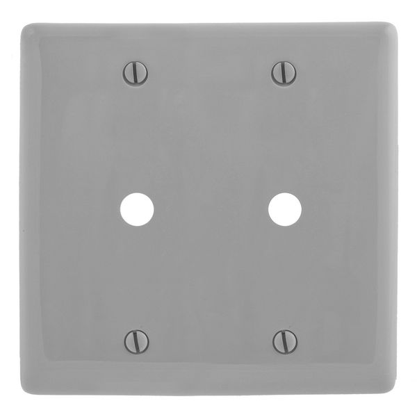 Hubbell NP21GY Control Product Image