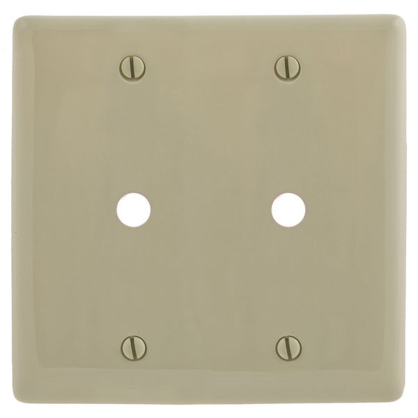 Hubbell NP21I Control Product Image