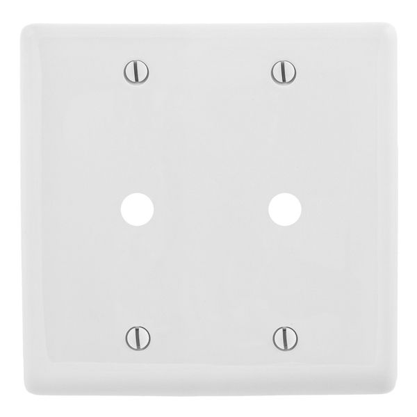 Hubbell NP21W Control Product Image
