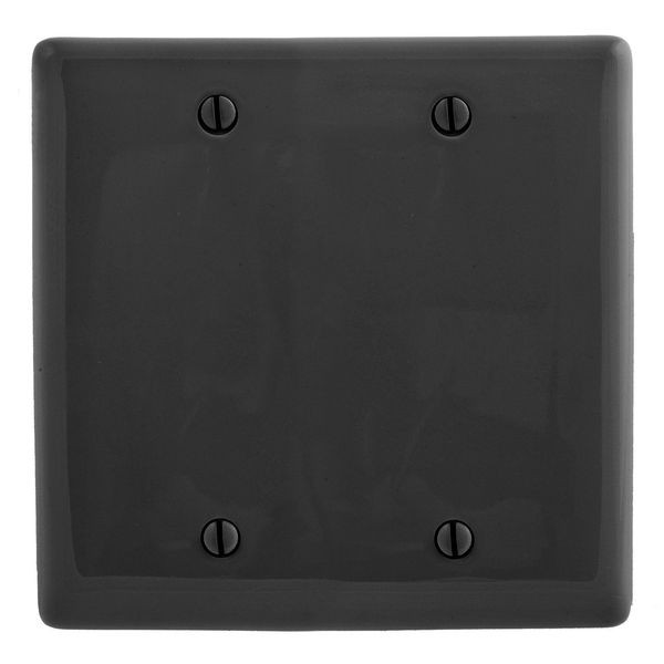 Hubbell NP23BK Control Product Image