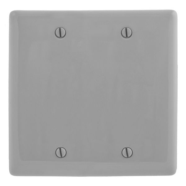 Hubbell NP23GY Control Product Image