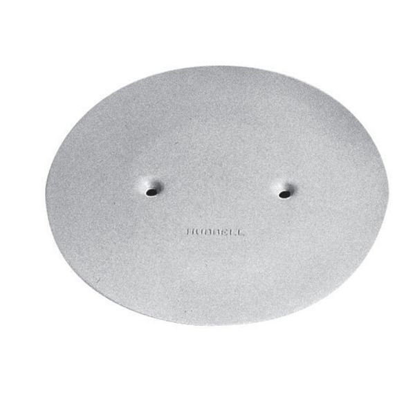 Hubbell S1AP4GY Control Product Image