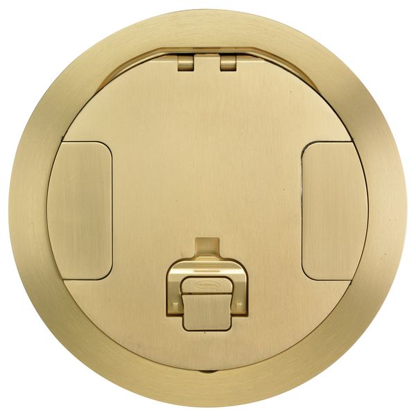 Hubbell S1R8CVRBRS Control Product Image
