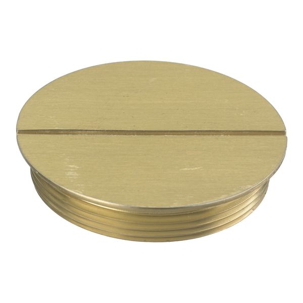 Hubbell S1RPLUG2BRS Control Product Image