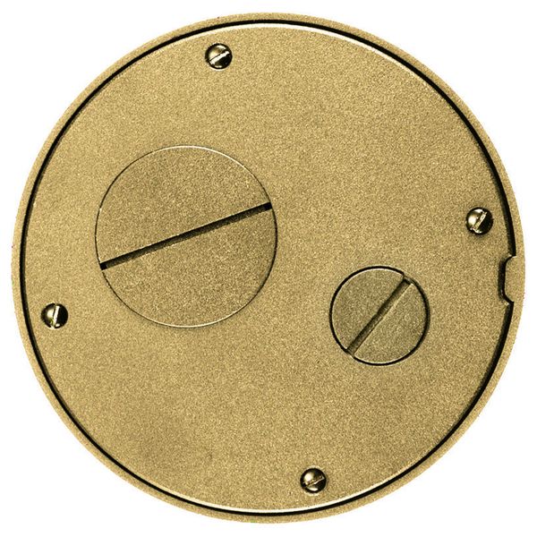 Hubbell S1SPFFTBRS Control Product Image