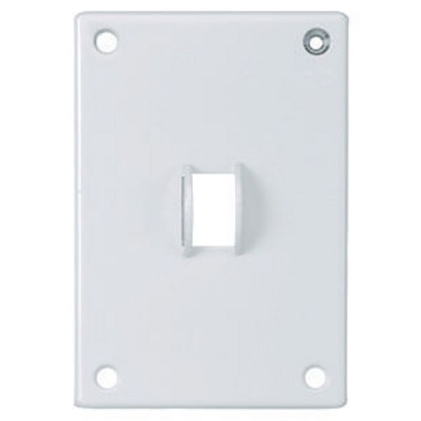 Hubbell SWP1 Security Wall Plate Product Image