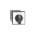 ABB ONST33PB ONST33PB Cam switch Product Image