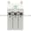 Allen Bradley 1492-PRTCLEAN Cleaning Cartridge Product Image