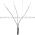 Allen Bradley 42JS-R9MNA1-A2 PhotoSwitch | Visisight Product Image
