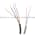 Allen Bradley 42KB-T2LNSR-A2 PhotoSwitch Product Image
