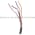Allen Bradley 42KC-P2YNSM-A2 PhotoSwitch Product Image
