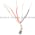 Allen Bradley 42RC1-4001 PhotoSwitch Product Image