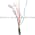 Allen Bradley 440N-Z21SS3PB Safety Switch | Sensaguard Product Image