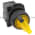 Allen Bradley 800FP-LSM25PN3WX10 Illuminated Selector Switch Product Image