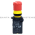Allen Bradley 800FP-MT34PX01S Push Button Product Image
