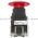 Allen Bradley 800H-FRXJTQ24RA1 Pushbutton Product Image