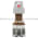 Allen Bradley 800H-QP10R Pilot Light Product Image