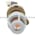 Allen Bradley 800H-QPH10A Pilot Light Product Image