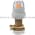 Allen Bradley 800H-QPTH10A Pilot Light Product Image