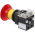 Allen Bradley 800H-TFRXJTQH2RA Pushbutton Product Image