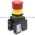 Allen Bradley 800H-TFRXT6BF Pushbutton Product Image