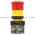 Allen Bradley 800H-TFRXT6D2 Pushbutton Product Image