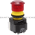 Allen Bradley 800H-TFRXTPH16RA Push Button Product Image