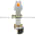 Allen Bradley 800HL-PPH16A Pilot Light Product Image