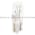 Allen Bradley 800M-N17 Lamp Incandescent Full Voltage 24VAC/DC Product Image
