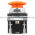 Allen Bradley 800T-D3A Pushbutton Product Image