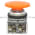 Allen Bradley 800T-D3JA Pushbutton Switch Product Image