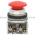 Allen Bradley 800T-D6A Pushbutton Product Image