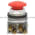 Allen Bradley 800T-D6A1 Pushbutton Switch Product Image