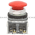 Allen Bradley 800T-D6D1 Pushbutton Product Image