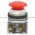 Allen Bradley 800T-D6D2 Pushbutton Product Image