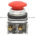 Allen Bradley 800T-D6D4 Push Button Product Image