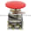 Allen Bradley 800T-D6LQB Push Button Product Image