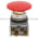 Allen Bradley 800T-D6LQB Push Button Product Image