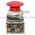Allen Bradley 800T-D6QA Pushbutton Product Image
